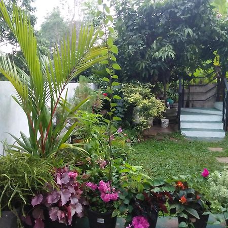 Jungle View One Bedroom Private Apartment Унаватуна Экстерьер фото
