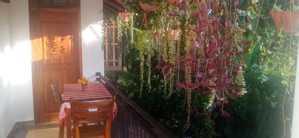 Jungle View One Bedroom Private Apartment Унаватуна Экстерьер фото