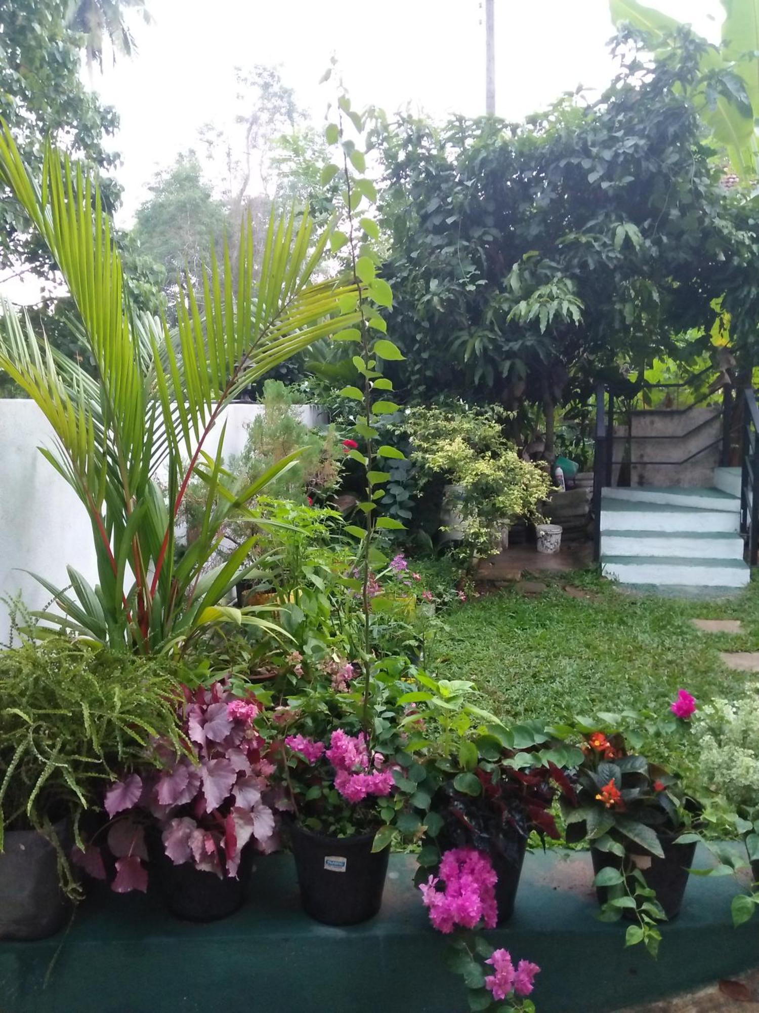Jungle View One Bedroom Private Apartment Унаватуна Экстерьер фото